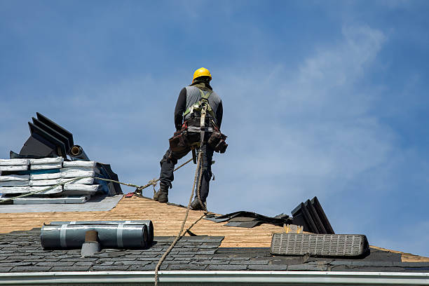 Professional Gutter Installation technician working in La Fayette, AL